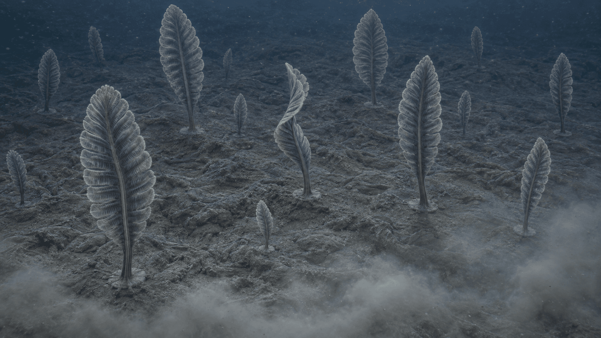 KI-Rekonstruktion eines Feldes aufrechter Charniodiscus-concentricus-Wedel auf dem Ediacarium-Meeresboden, von schräg oben fotografiert, einer leicht verdreht durch einen abklingenden Trübestrom.
