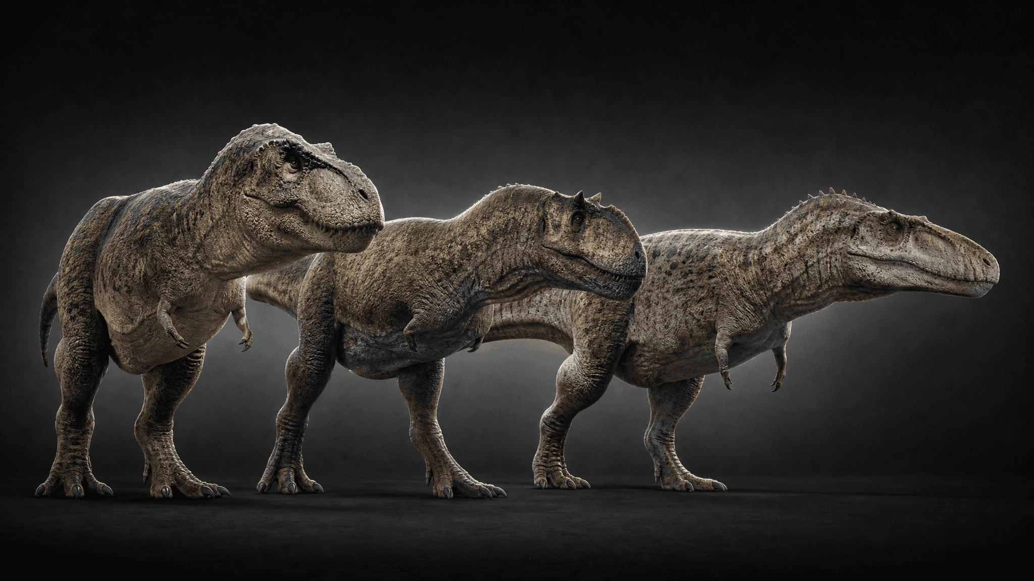 Künstlerische Rekonstruktion des im Paper beschriebenen Musters: robuste Theropoden-Schädel im Kontrast zu reduzierten Vorderarmen.