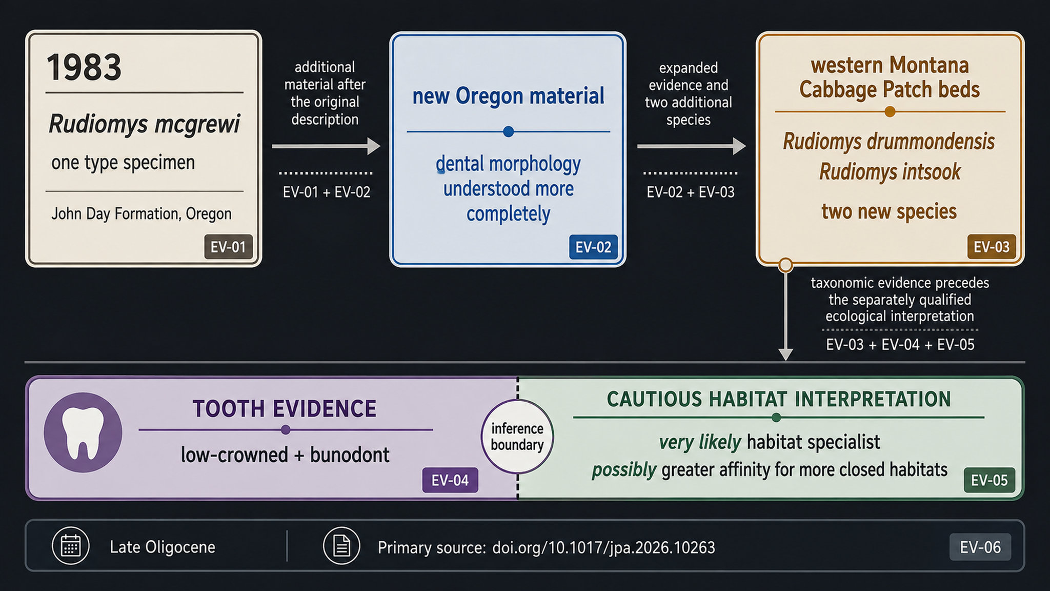 Evidenzgrafik: von einem Rudiomys-Typusexemplar zu neuem Material aus Oregon und zwei neuen Arten aus Montana.